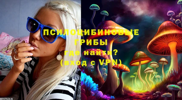 каннабис Туринск