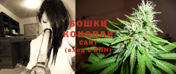 индика Железногорск-Илимский